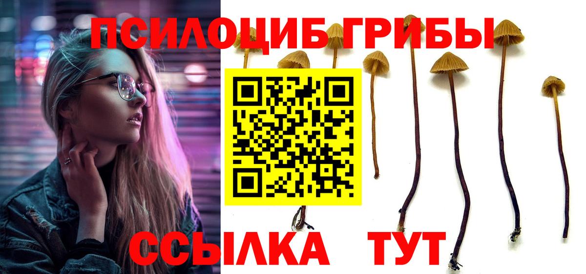 Галлюциногенные грибы прущие грибы  Вход с VPN  Чапаевск 